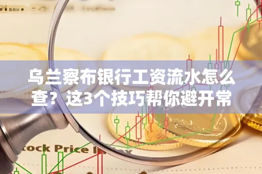 乌兰察布银行工资流水怎么查?这3个技巧帮你避开常见坑