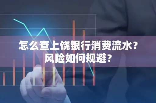 怎么查上饶银行消费流水?风险如何规避?