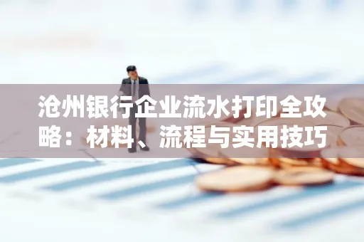 沧州银行企业流水打印全攻略:材料、流程与实用技巧