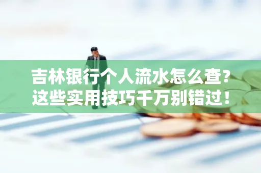 吉林银行个人流水怎么查?这些实用技巧千万别错过!