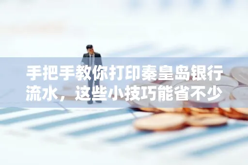 手把手教你打印秦皇岛银行流水,这些小技巧能省不少事