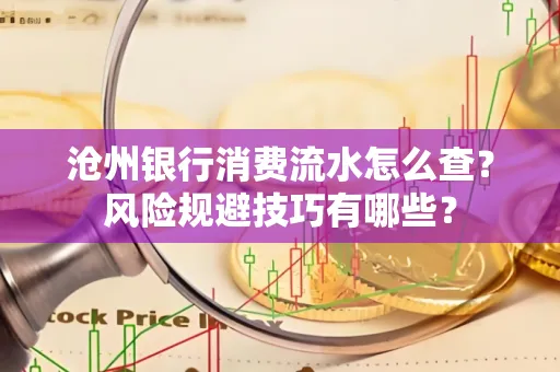 沧州银行消费流水怎么查?风险规避技巧有哪些?