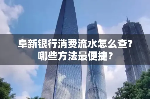 阜新银行消费流水怎么查?哪些方法最便捷?