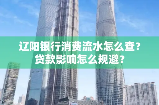 辽阳银行消费流水怎么查？贷款影响怎么规避？