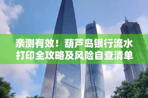 亲测有效!葫芦岛银行流水打印全攻略及风险自查清单