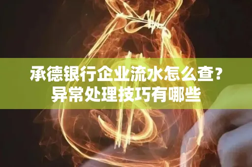 承德银行企业流水怎么查?异常处理技巧有哪些