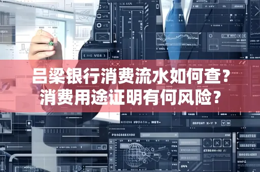 吕梁银行消费流水如何查?消费用途证明有何风险?