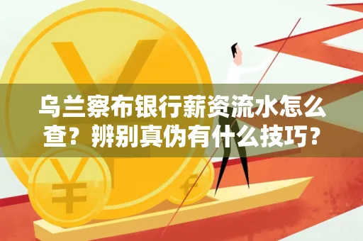 乌兰察布银行薪资流水怎么查?辨别真伪有什么技巧?