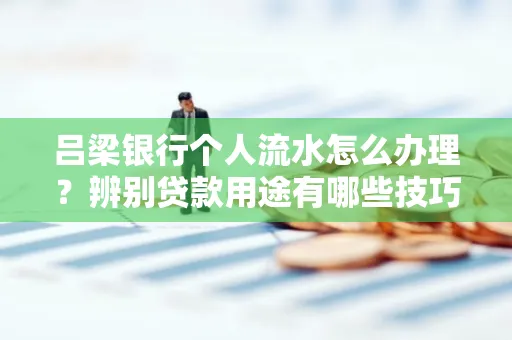 吕梁银行个人流水怎么办理?辨别贷款用途有哪些技巧?