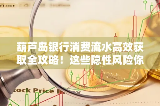 葫芦岛银行消费流水高效获取全攻略!这些隐性风险你必须知道