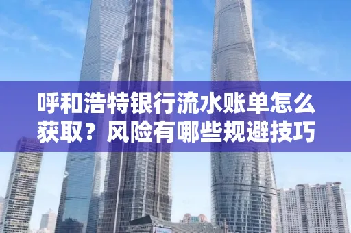 呼和浩特银行流水账单怎么获取?风险有哪些规避技巧!