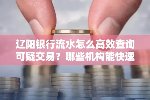 辽阳银行流水怎么高效查询可疑交易?哪些机构能快速分析账单风险?