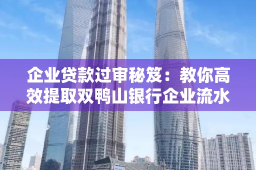 企业贷款过审秘笈:教你高效提取双鸭山银行企业流水