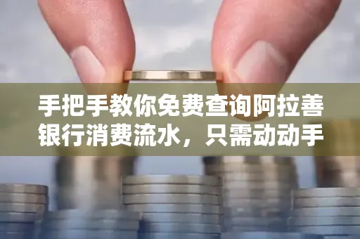 手把手教你免费查询阿拉善银行消费流水,只需动动手指就能完成