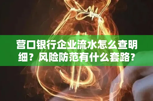 营口银行企业流水怎么查明细?风险防范有什么套路?