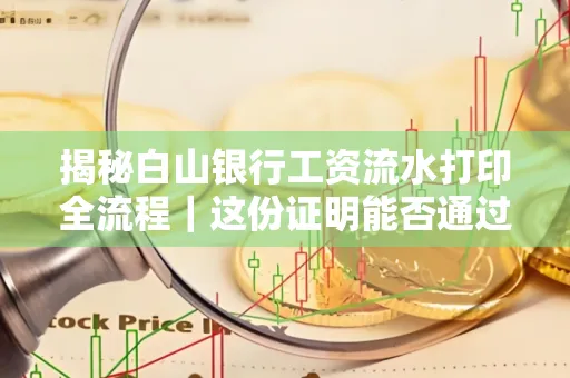 揭秘白山银行工资流水打印全流程|这份证明能否通过审核?