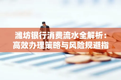 潍坊银行消费流水全解析:高效办理策略与风险规避指南