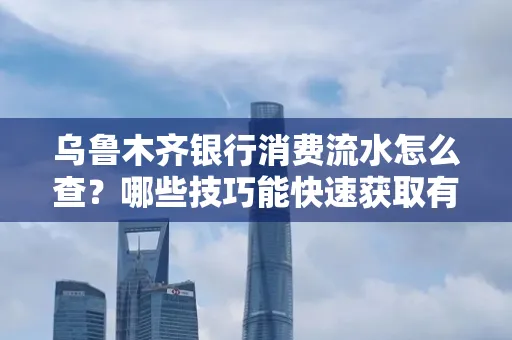 乌鲁木齐银行消费流水怎么查?哪些技巧能快速获取有效信息?