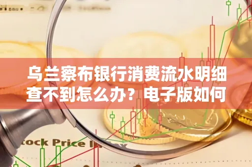 乌兰察布银行消费流水明细查不到怎么办?电子版如何获取攻克技巧?